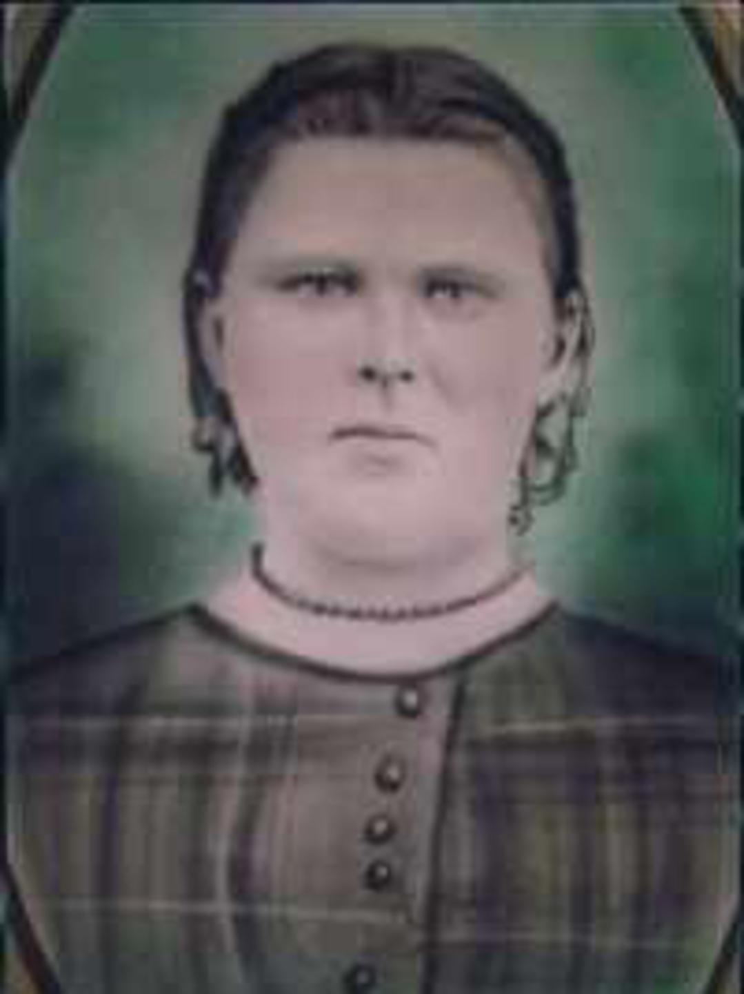 Sarah Ellen Coffin (1849 - 1936) Profile